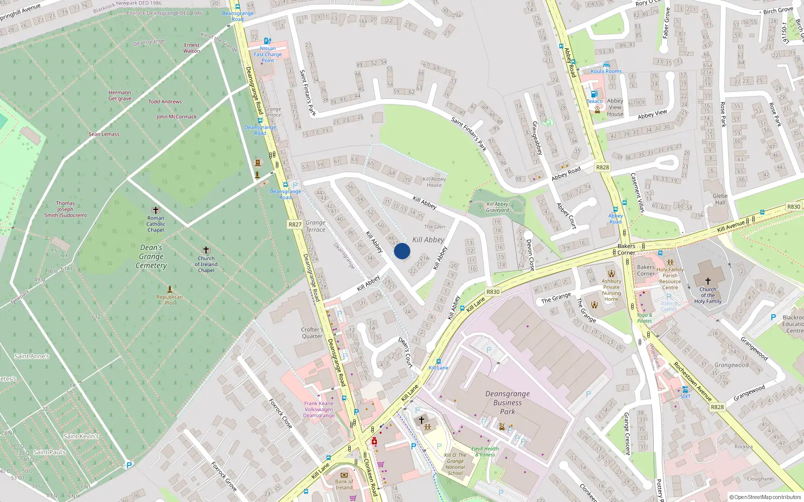 Overhead map showing the location of 46 Kill Abbey, Dublin