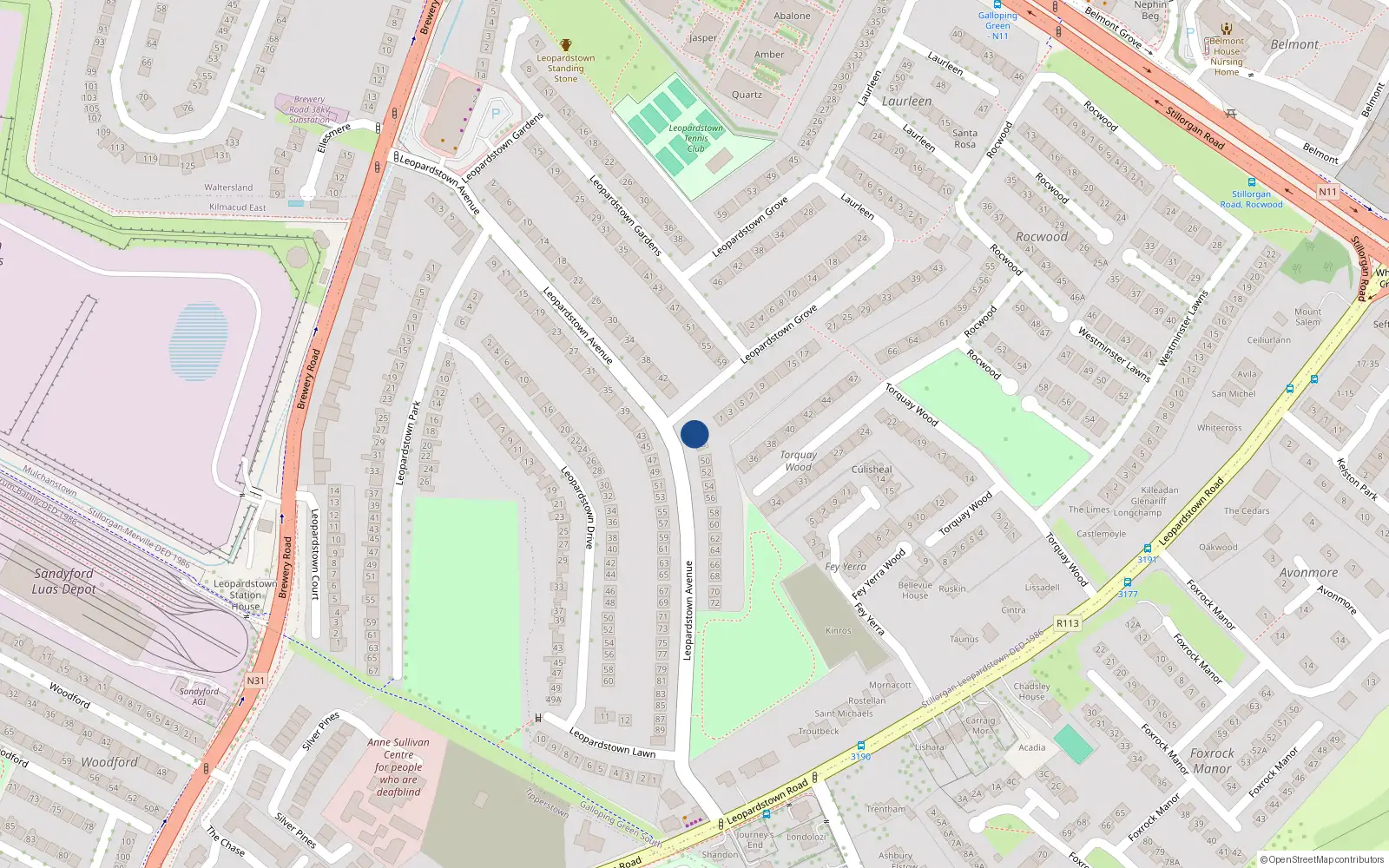 Overhead map showing the location of 46 Leopardstown Avenue, Dublin