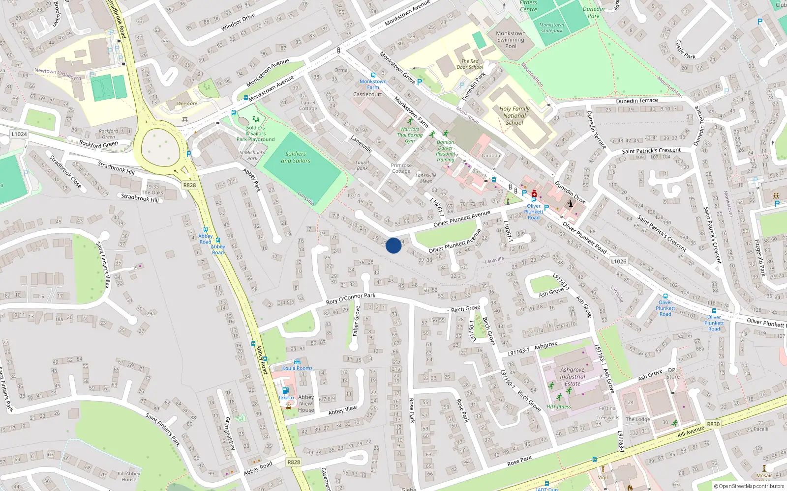 Overhead map showing the location of 46 Oliver Plunkett Avenue, Monkstown Farm, Dunlaoghaire