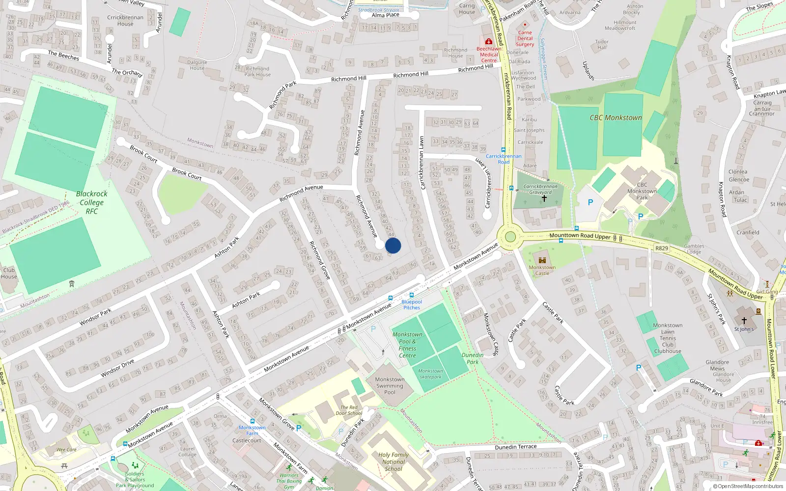 Overhead map showing the location of 46 Richmond Avenue, Dublin