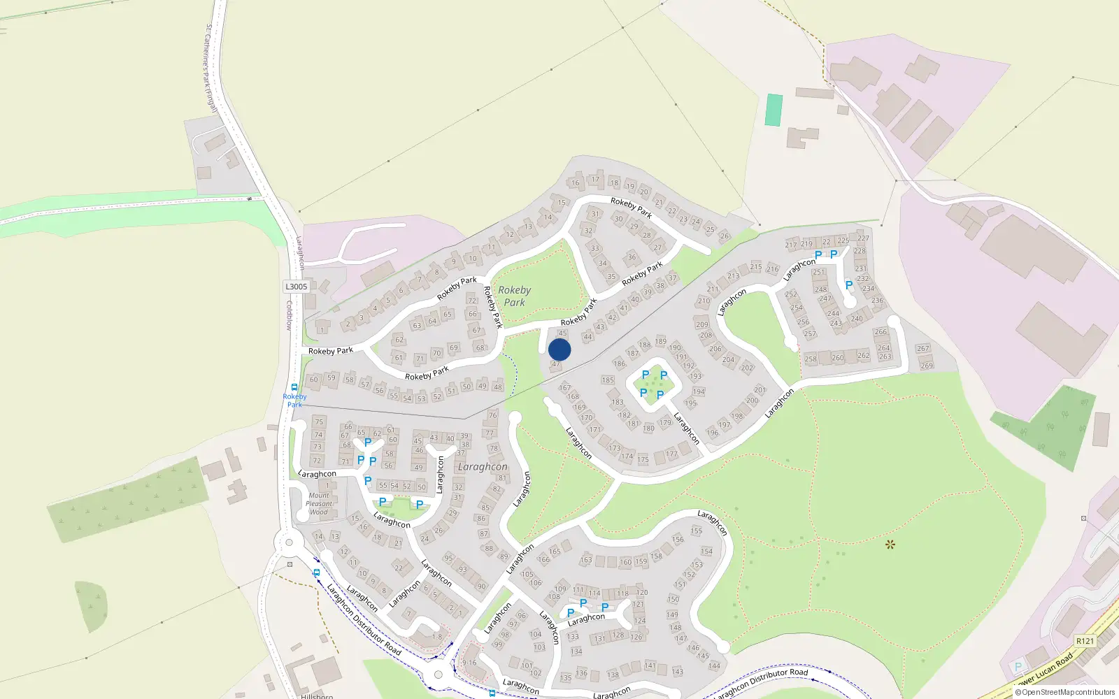 Overhead map showing the location of 46 Rokeby Park, Lucan