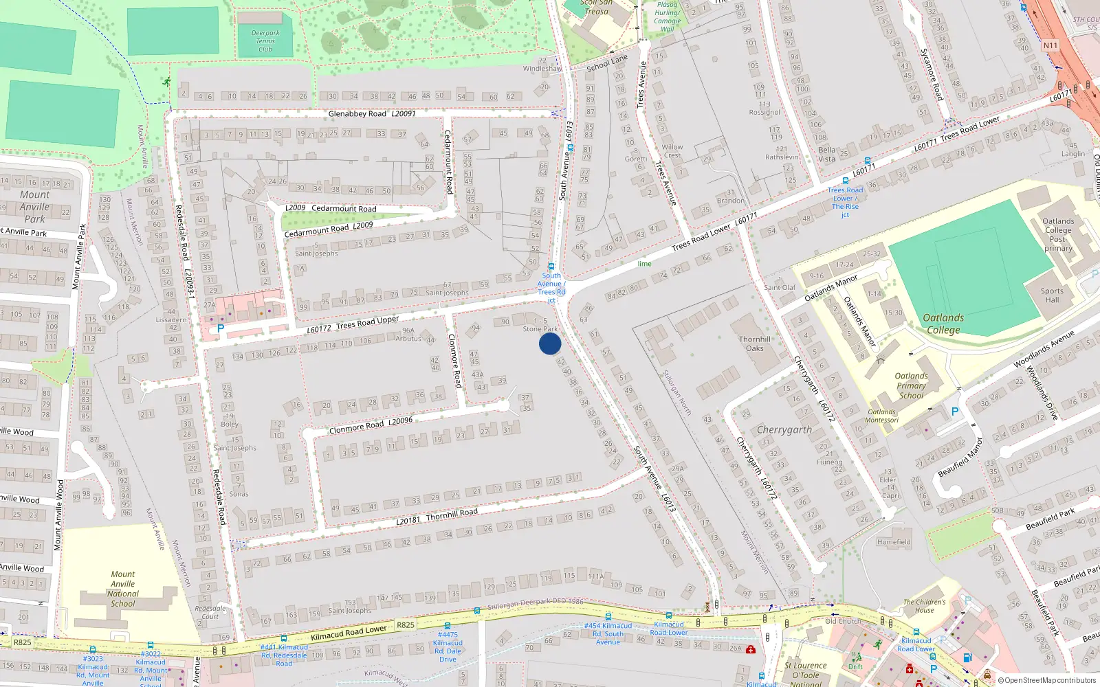 Overhead map showing the location of 46 South Avenue, Mount Merrion, Dublin