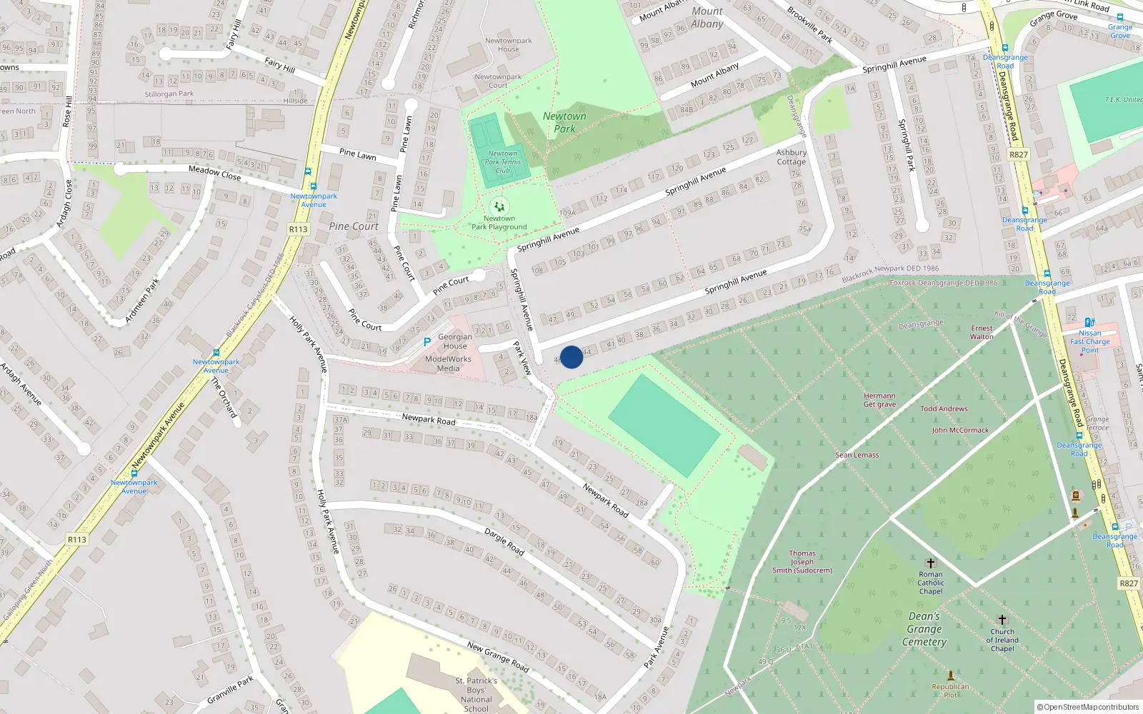 Overhead map showing the location of 46 Springhill Avenue, Blackrock