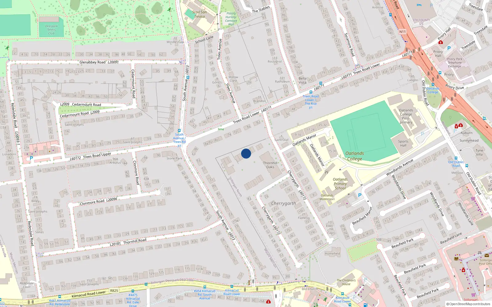 Overhead map showing the location of 46 Thornhill Oaks, Blackrock