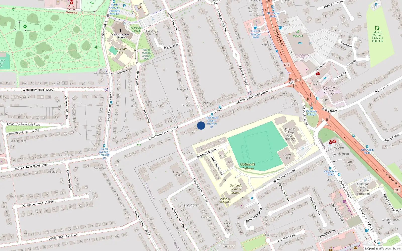 Overhead map showing the location of 46 Trees Road, Mount Merrion, Dublin