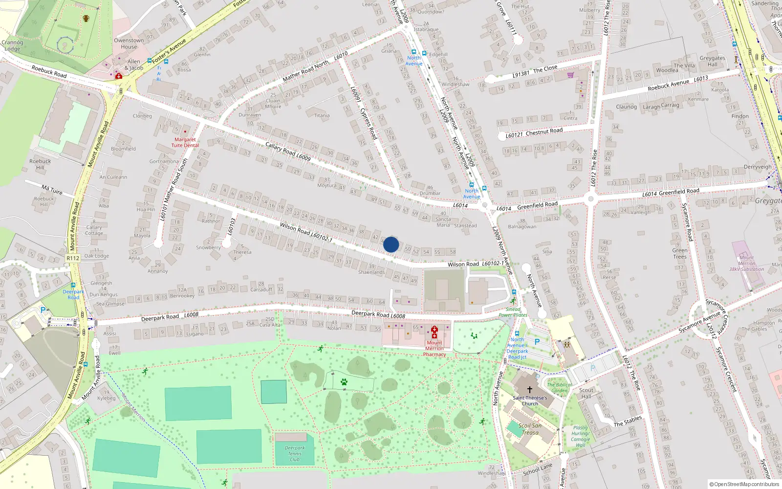 Overhead map showing the location of 46 Wilson Road, Mount Merrion, Dublin
