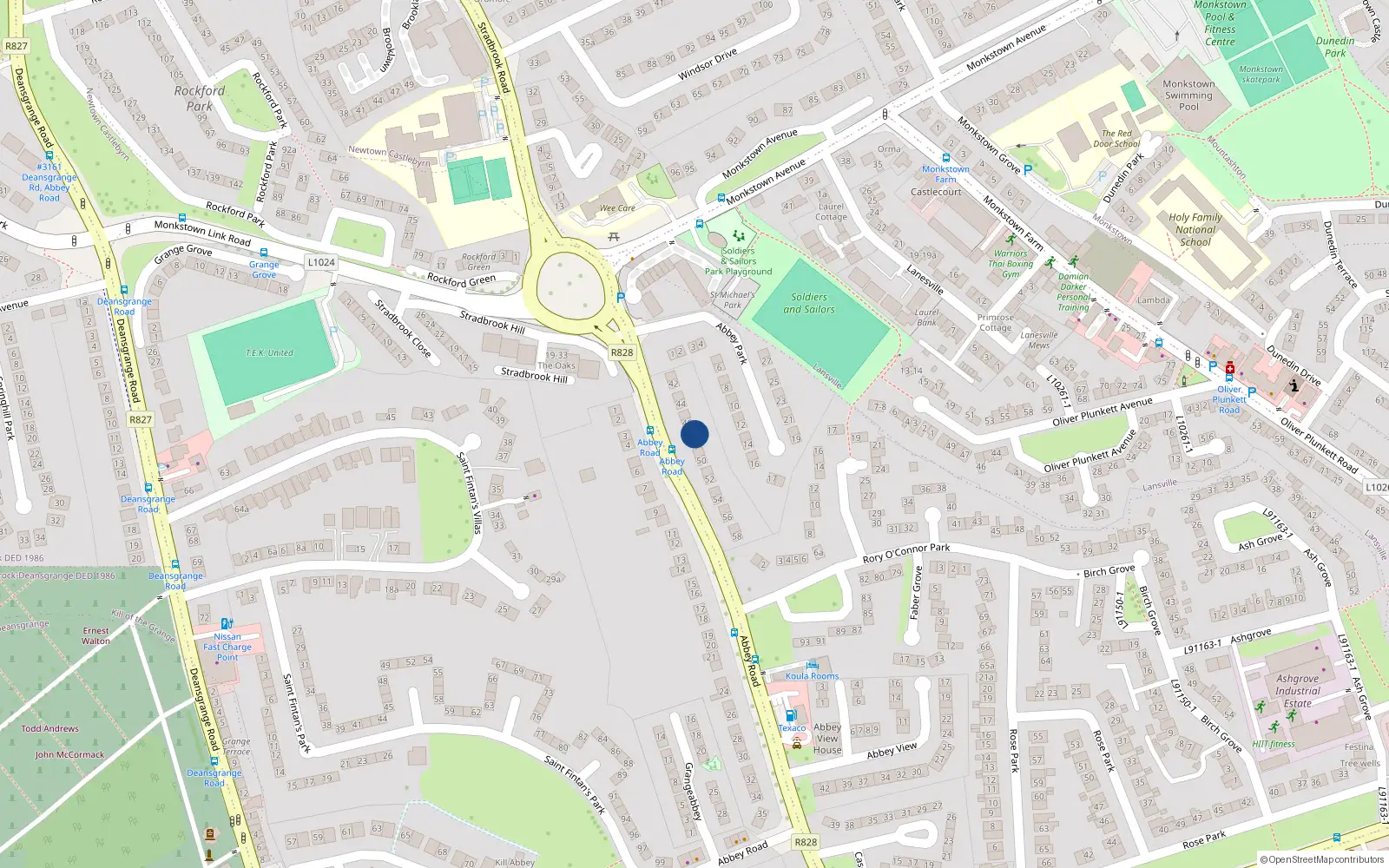 Overhead map showing the location of 47 Abbey Road, Monkstown