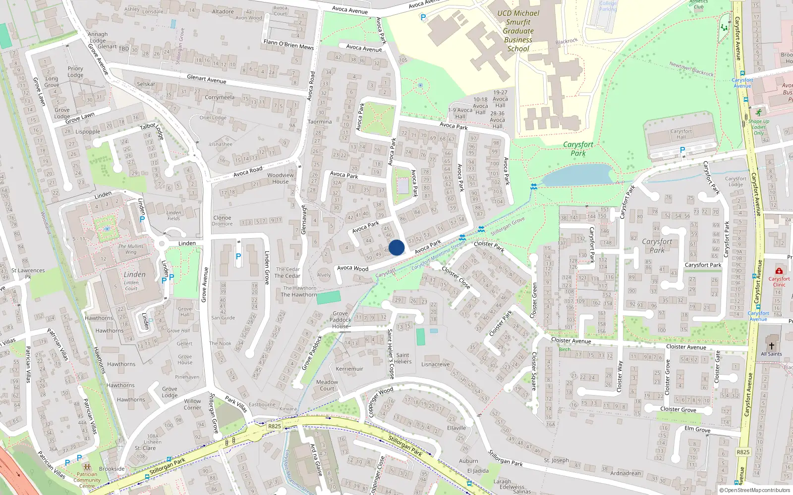 Overhead map showing the location of 47 Avoca Park, Blackrock