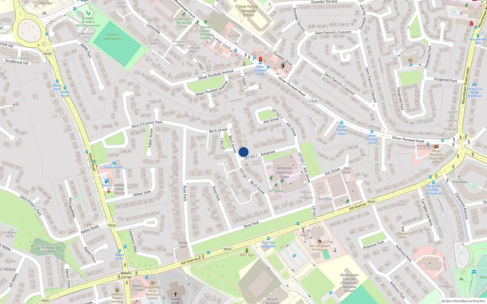 Overhead map showing the location of 47 Birch Grove, Dublin