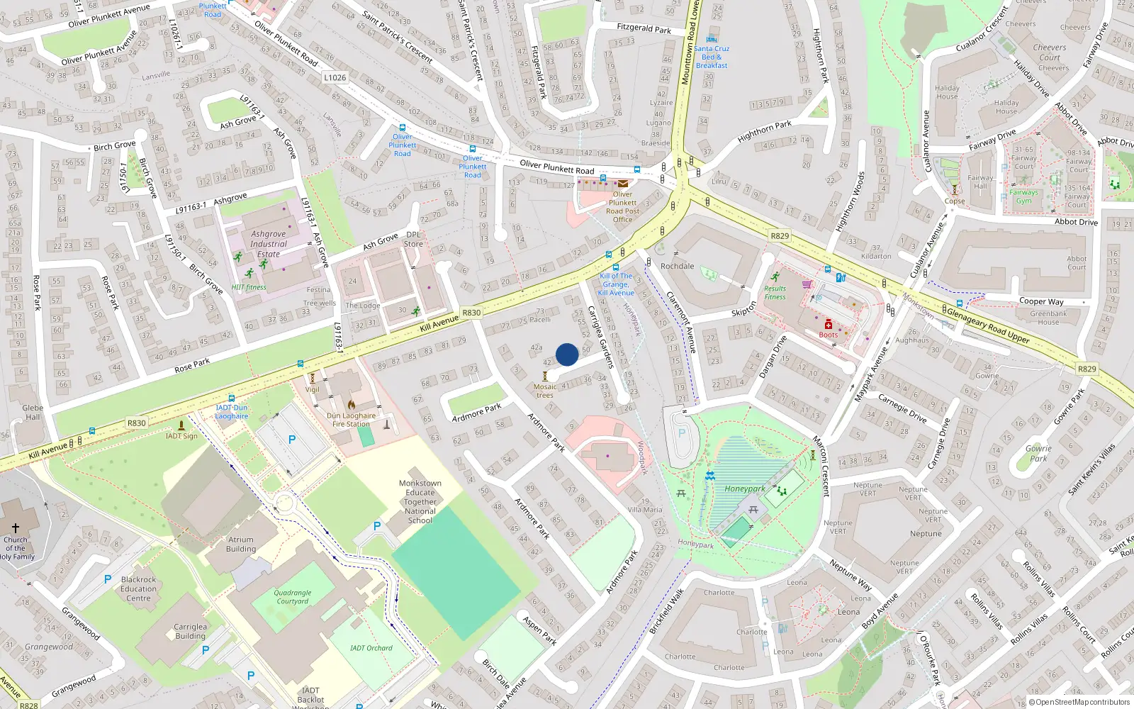 Overhead map showing the location of 47 Carriglea Gardens, Kill Avenue, Dun Laoghaire