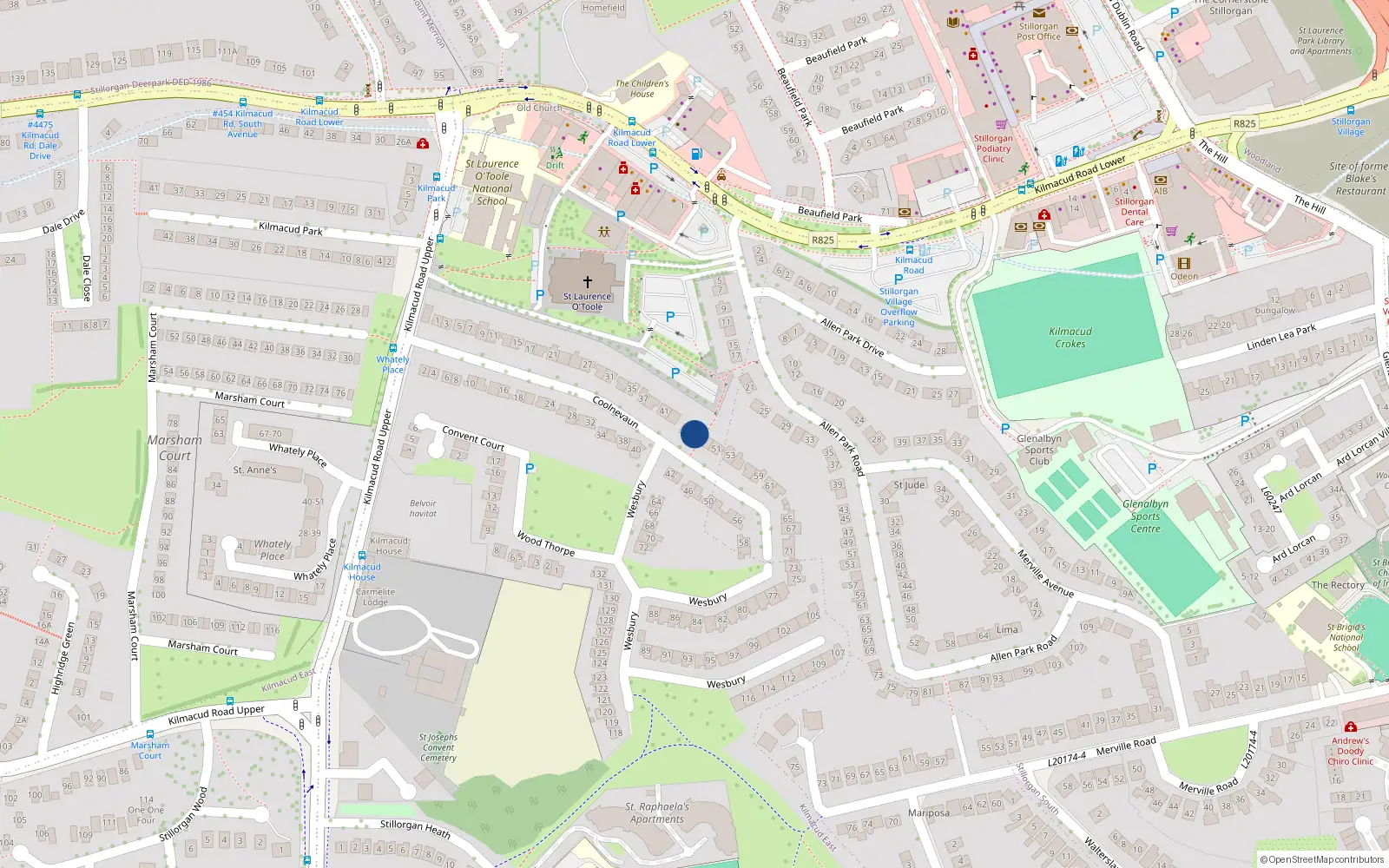 Overhead map showing the location of 47 Coolnevaun, Blackrock