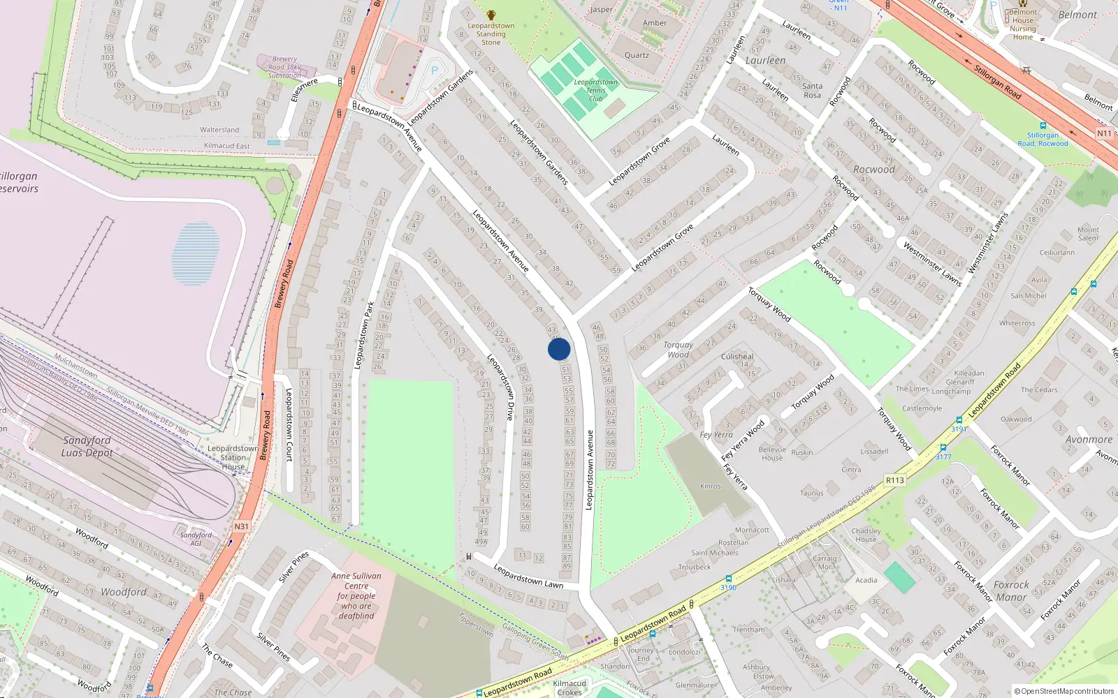 Overhead map showing the location of 47 Leopardstown Avenue, Blackrock, Dublin