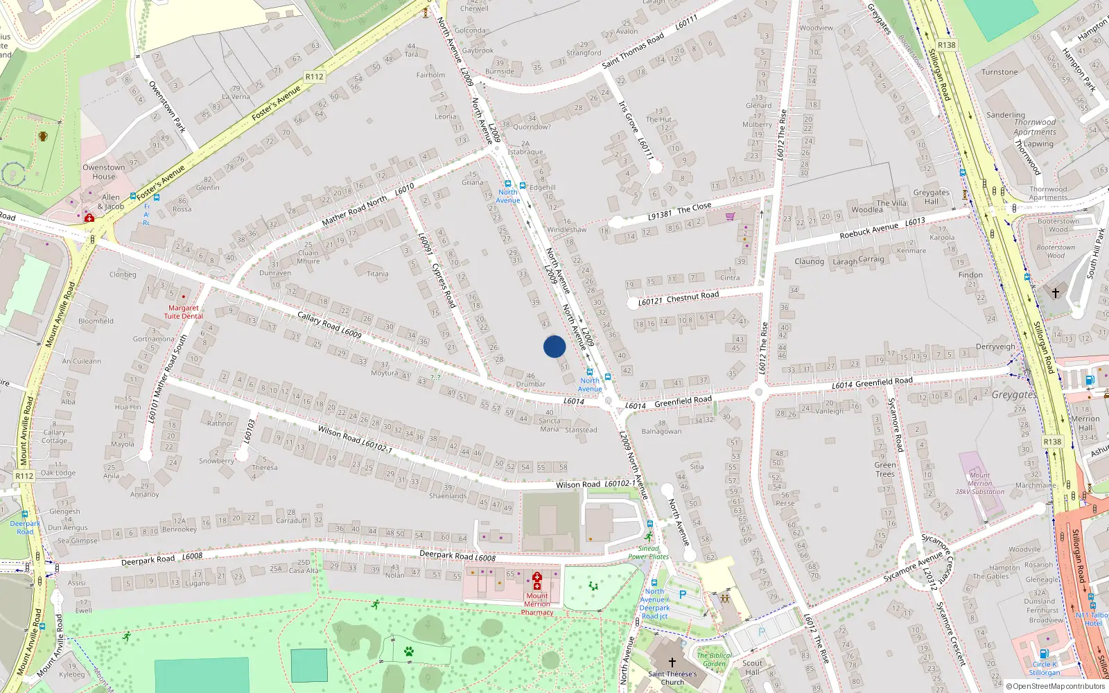 Overhead map showing the location of 47 North Avenue, Blackrock