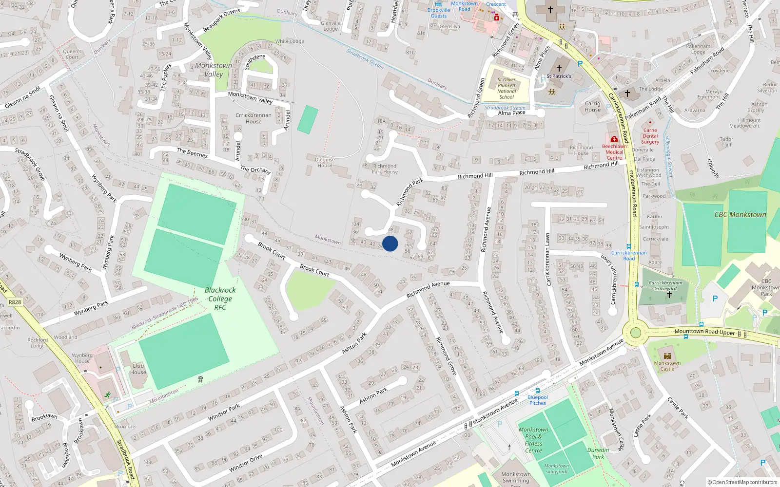 Overhead map showing the location of 47 Richmond Park, Richmond Hill, Monkstown