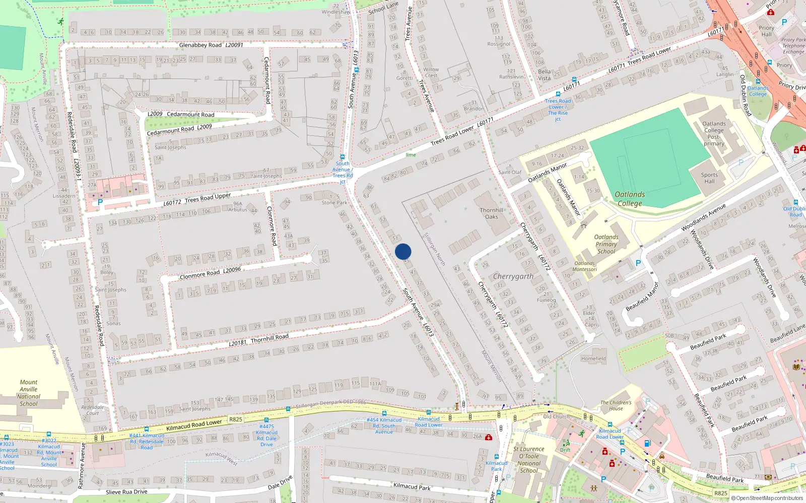 Overhead map showing the location of 47 South Avenue, Blackrock