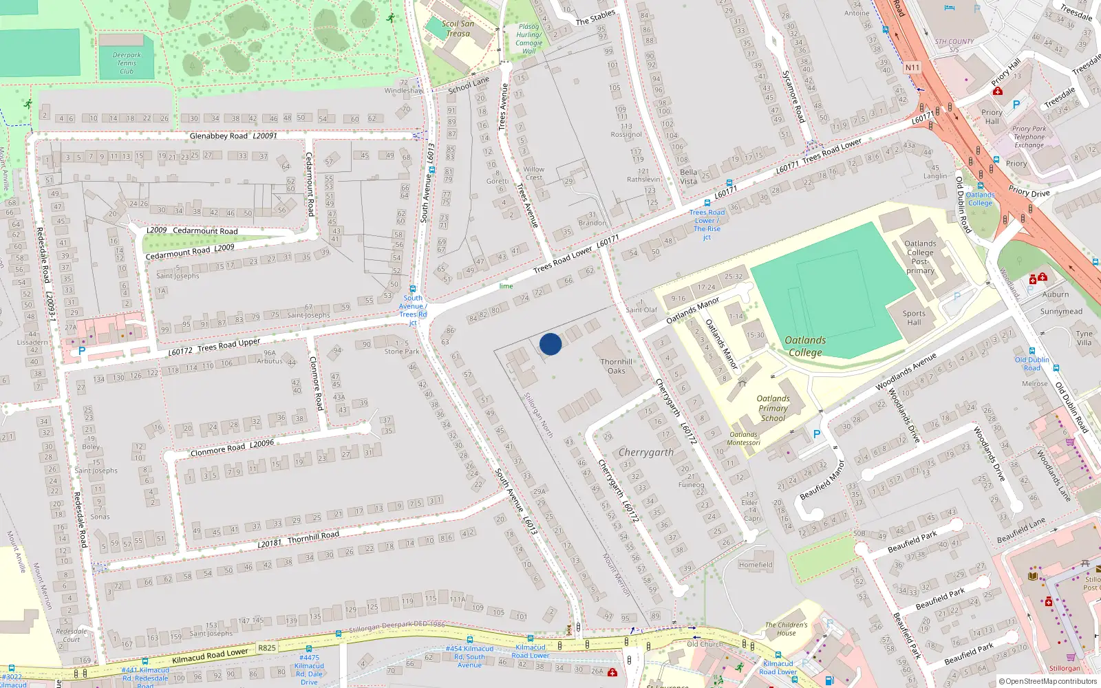 Overhead map showing the location of 47 Thornhill Oaks, Blackrock