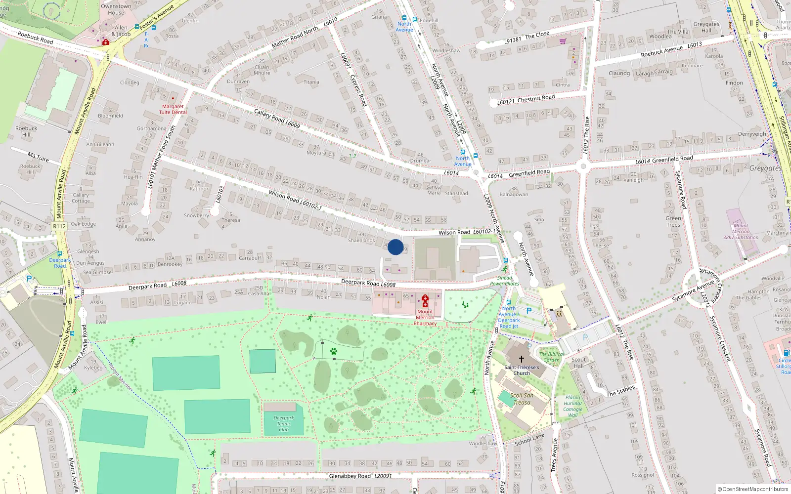 Overhead map showing the location of 47 Wilson Road, Blackrock
