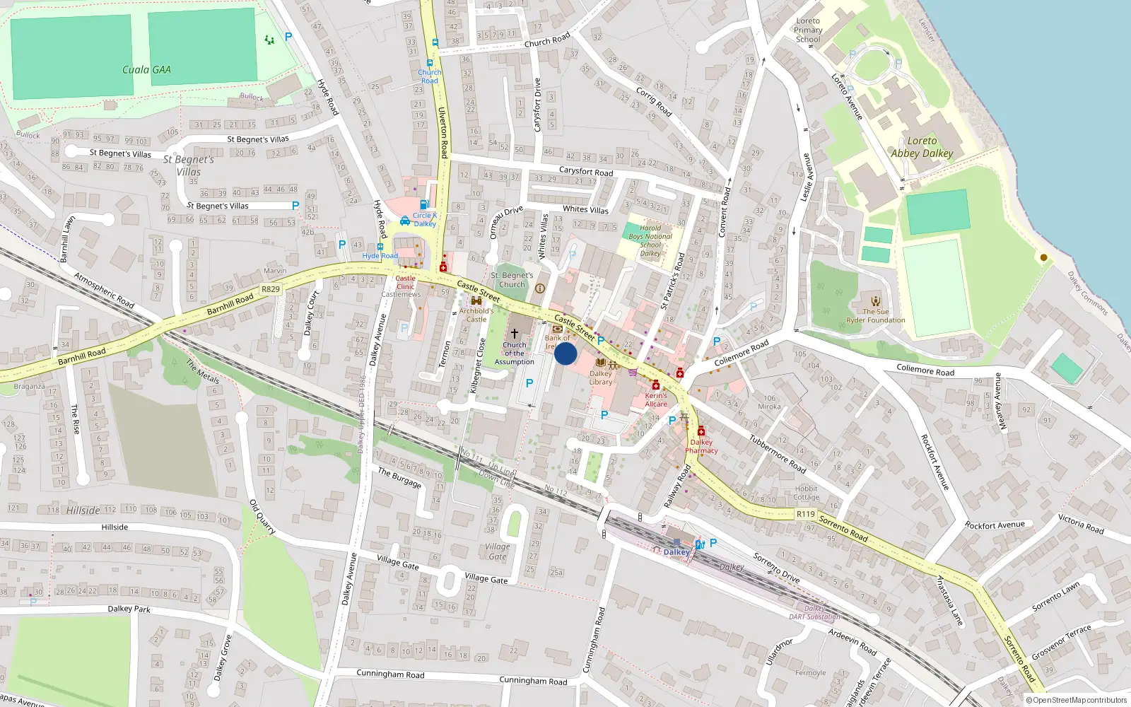 Overhead map showing the location of 48 Castle Street, Dublin