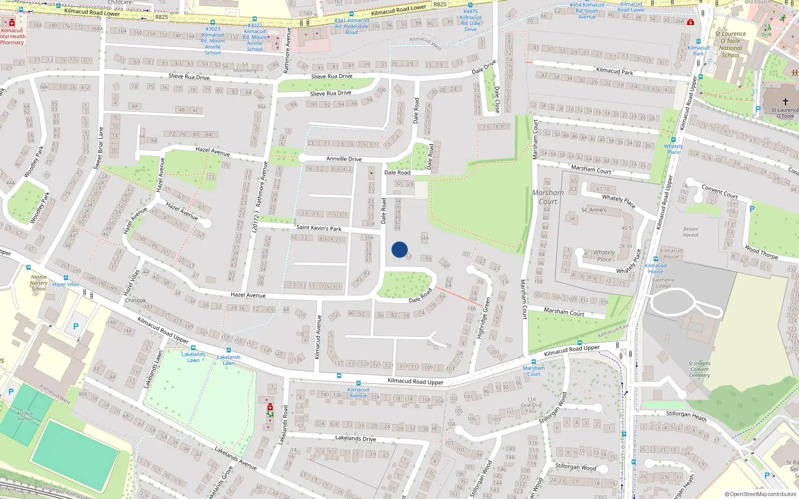 Overhead map showing the location of 48 Dale Road, Stillorgan, Blackrock