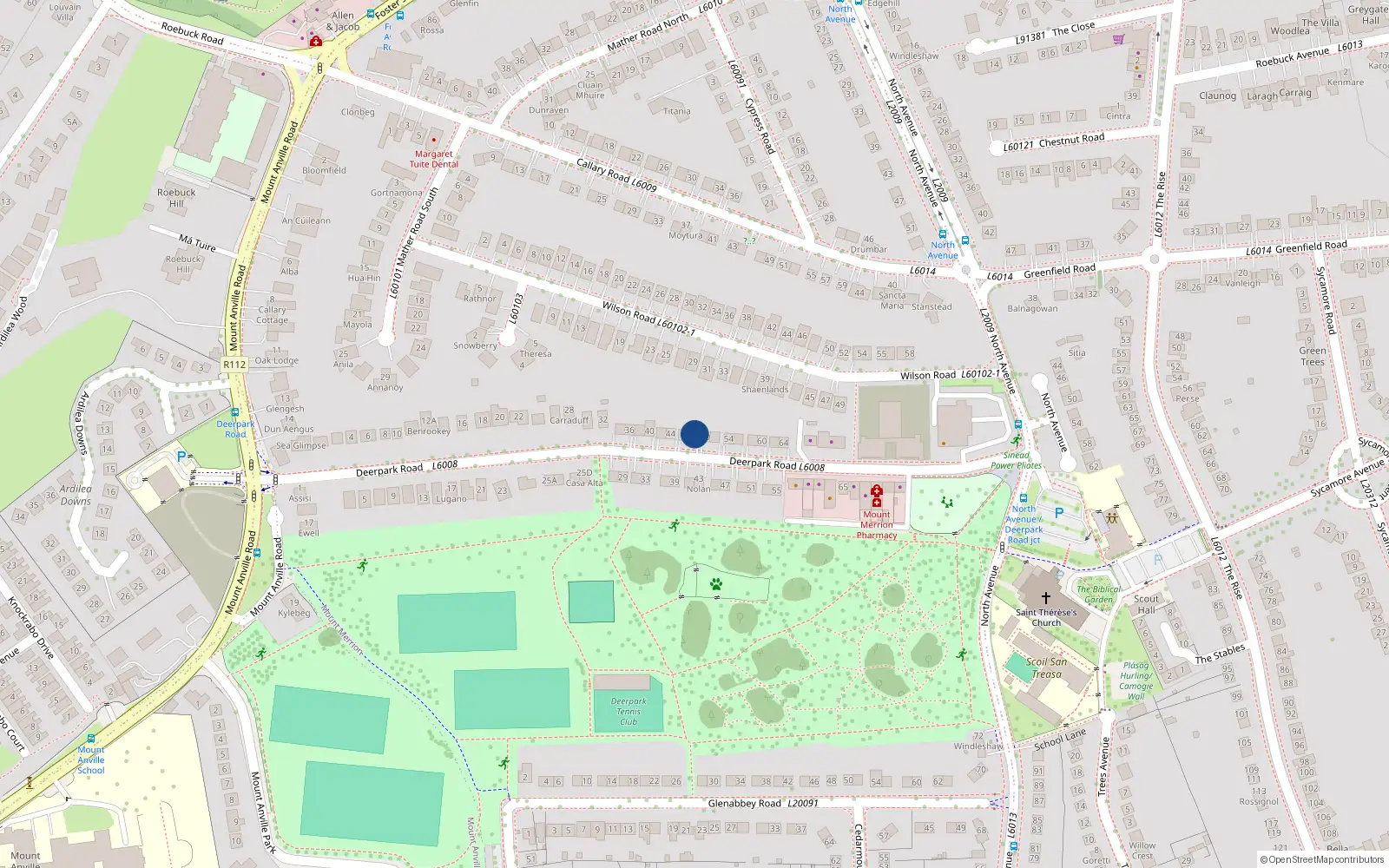 Overhead map showing the location of 48 Deerpark Road, Blackrock