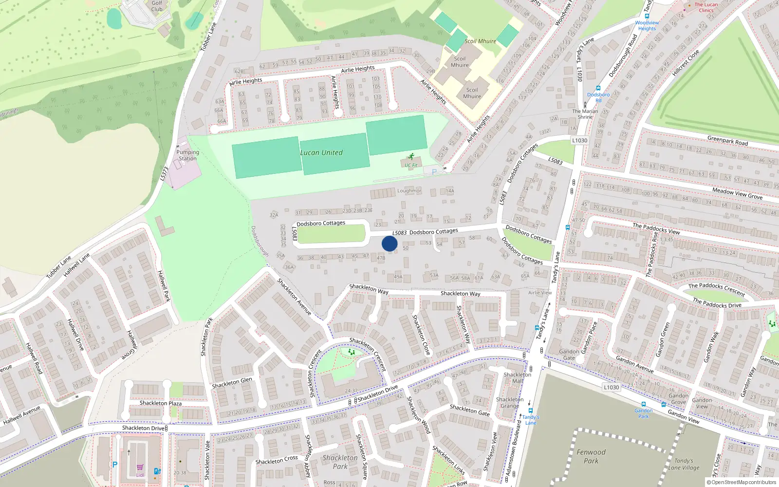 Overhead map showing the location of 48 Dodsborough Cottages, Lucan