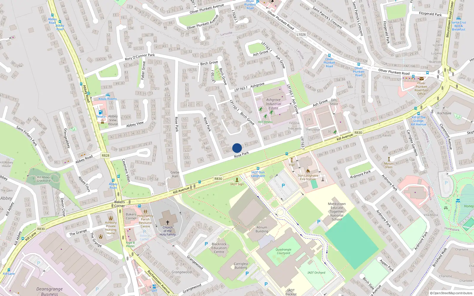 Overhead map showing the location of 48 Kill Avenue, Dublin