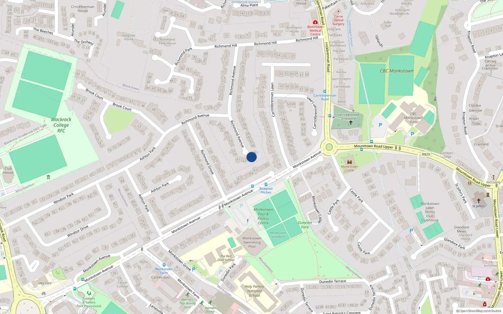 Overhead map showing the location of 48 Richmond Avenue, Monkstown