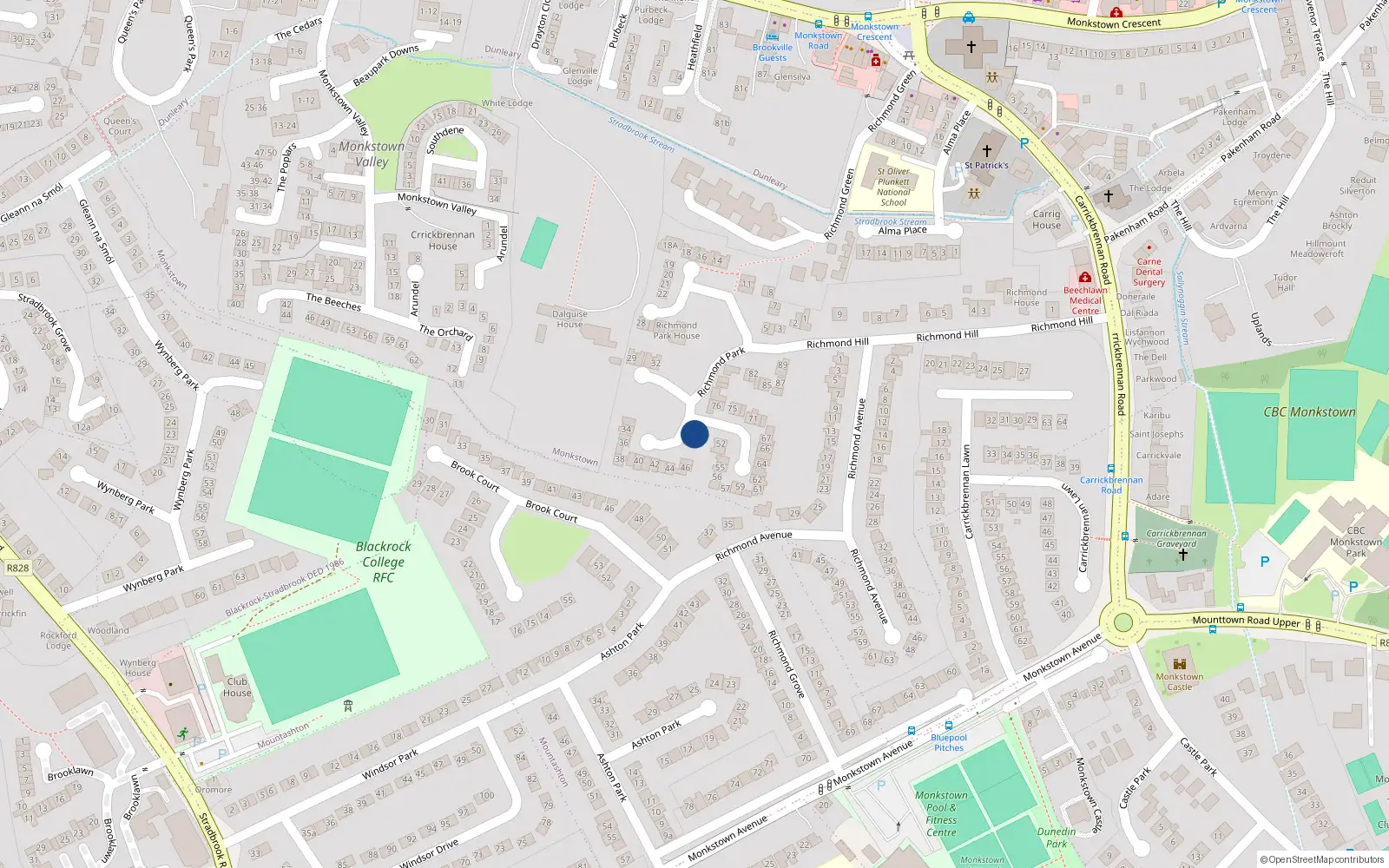 Overhead map showing the location of 48 Richmond Park, Dublin