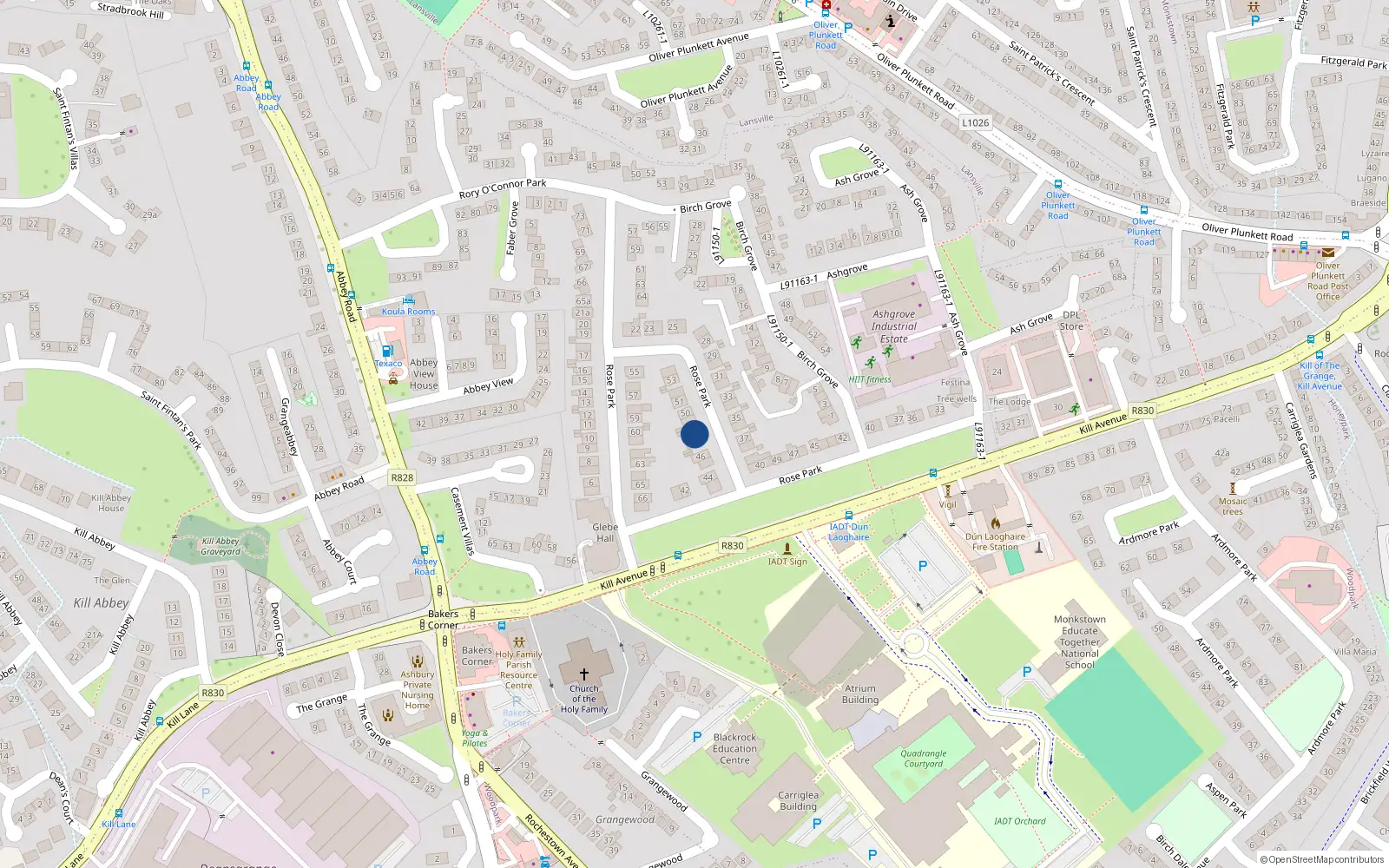 Overhead map showing the location of 48 Rose Park, Dun Laoghaire