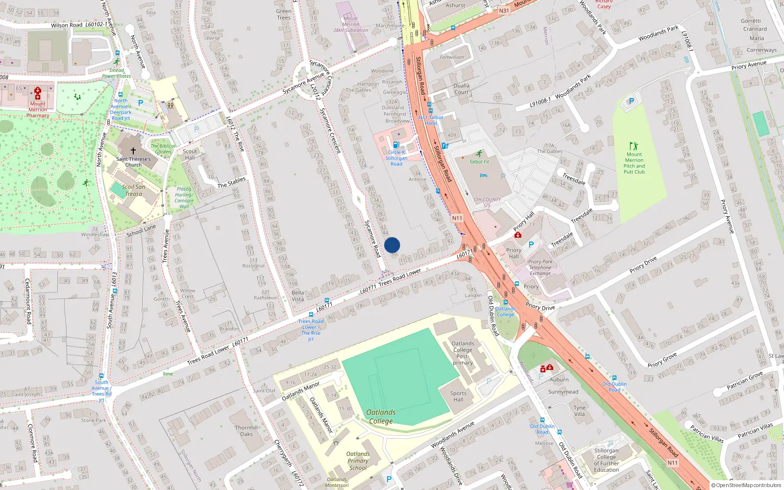 Overhead map showing the location of 48 Sycamore Road, Blackrock