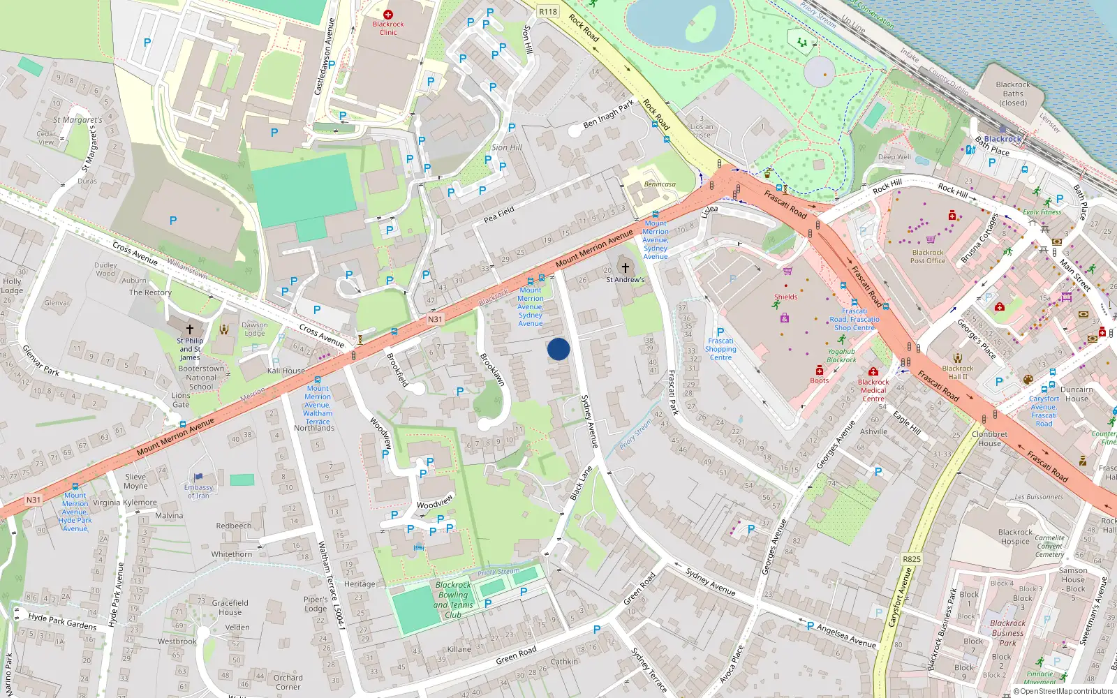 Overhead map showing the location of 48 Sydney Avenue, Blackrock, Co Dublin