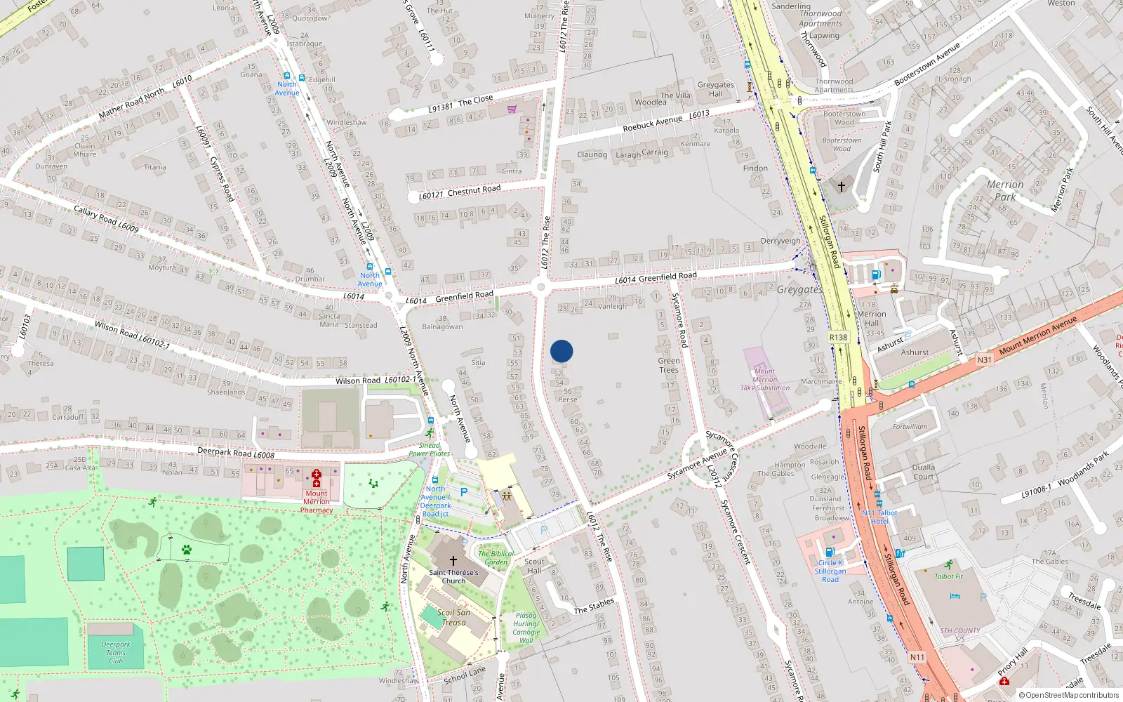 Overhead map showing the location of 48 The Rise, Blackrock
