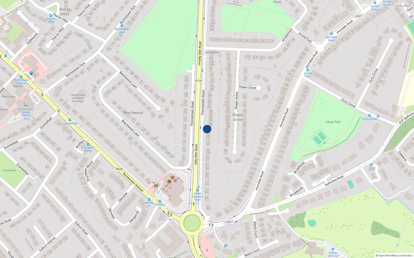Overhead map showing the location of 48 Thomastown Road, Dublin