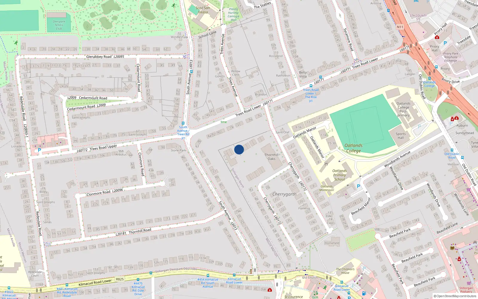 Overhead map showing the location of 48 Thornhill Oaks, Cherrygarth, Mount Merrion