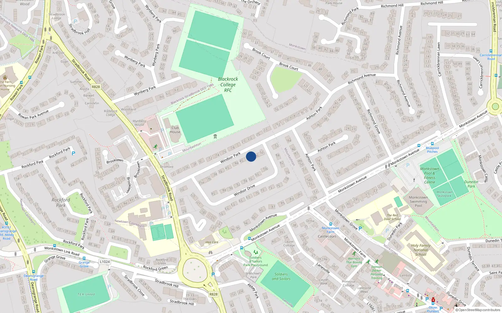 Overhead map showing the location of 48 Windsor Park, Monkstown