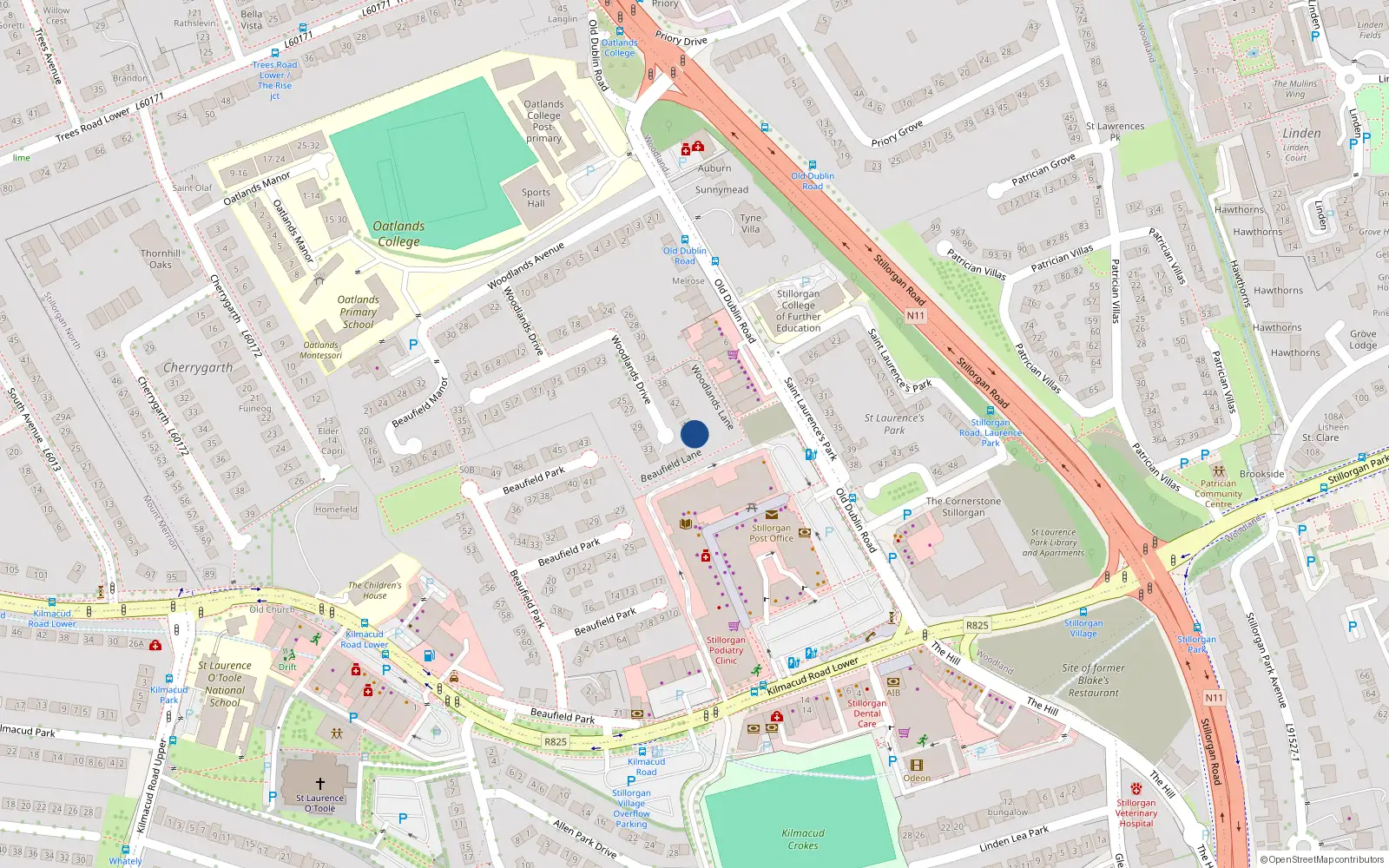Overhead map showing the location of 48 Woodlands Drive, Co. Dublin