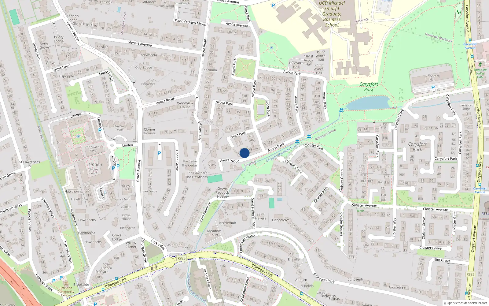 Overhead map showing the location of 49 Avoca Park, Blackrock, Dublin