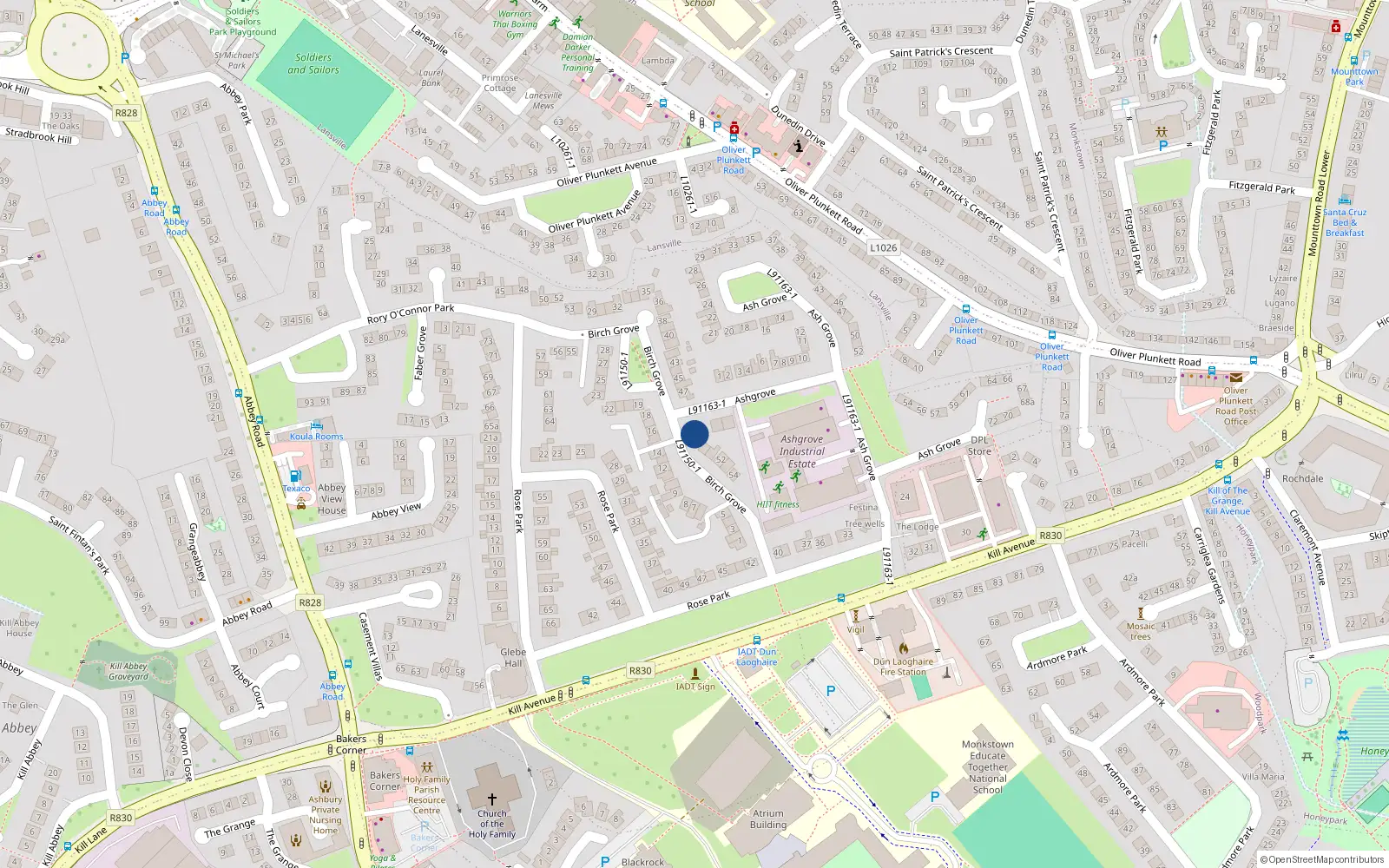 Overhead map showing the location of 49 Birch Grove, Dun Laoghaire