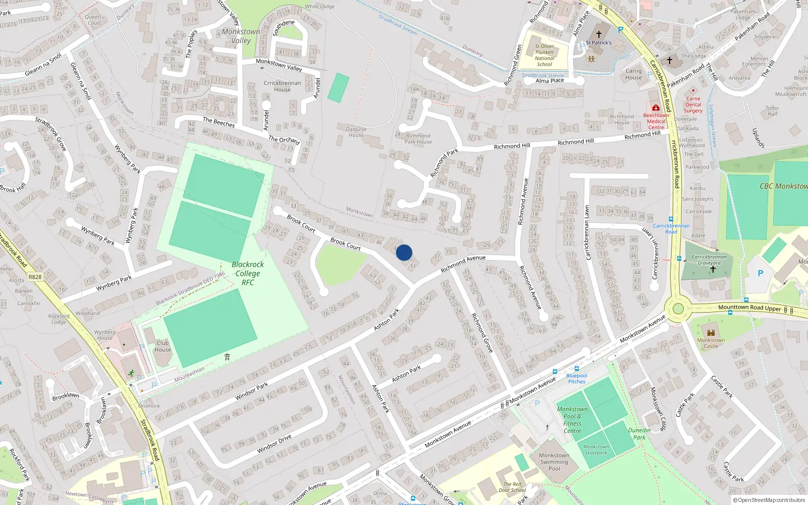 Overhead map showing the location of 49 Brook Court, Monkstown