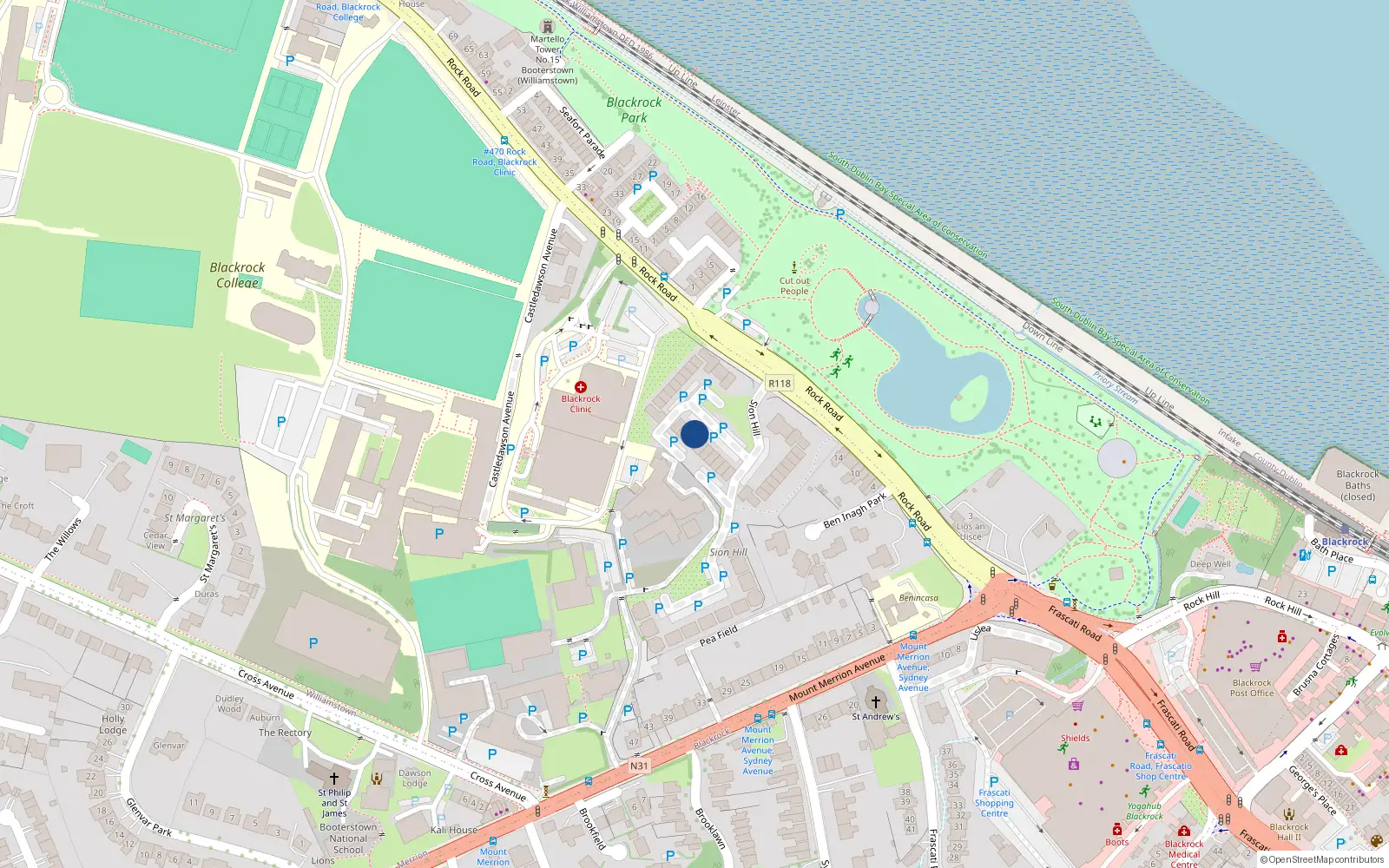 Overhead map showing the location of 49 Castledawson, Blackrock