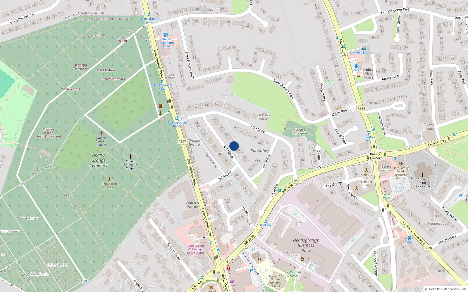 Overhead map showing the location of 49 Kill Abbey, Kill O' the Grange, Blackrock