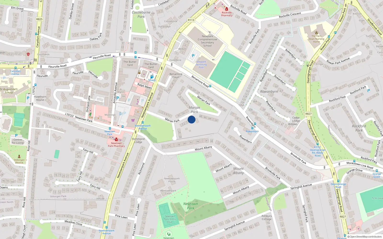 Overhead map showing the location of 49 Marian Park, Blackrock