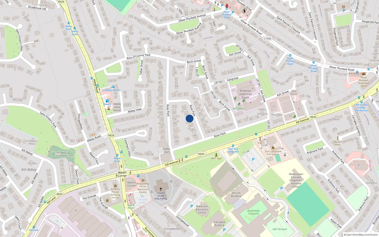 Overhead map showing the location of 49 Rose Park, Dun Laoghaire