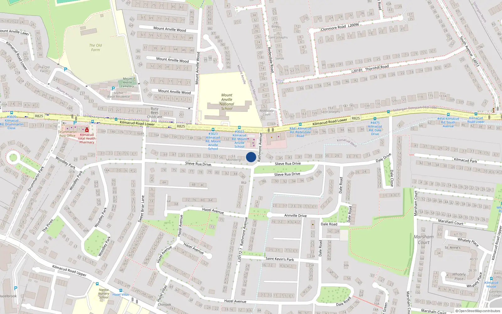 Overhead map showing the location of 49 Slieve Rua Drive, Blackrock