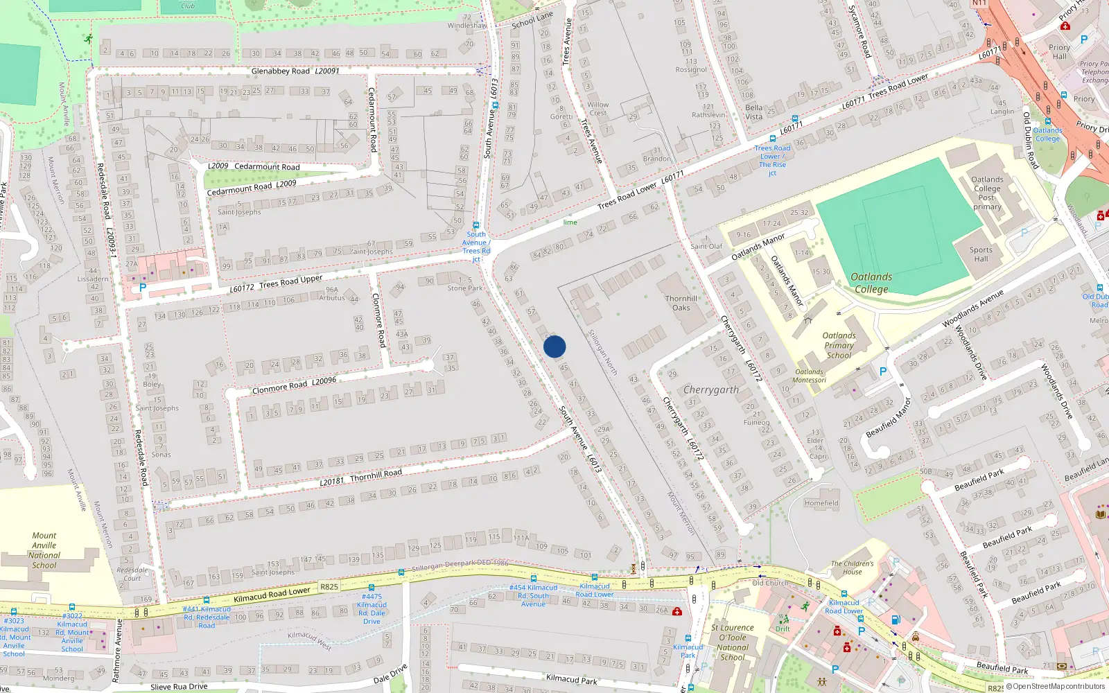 Overhead map showing the location of 49 South Avenue, Blackrock