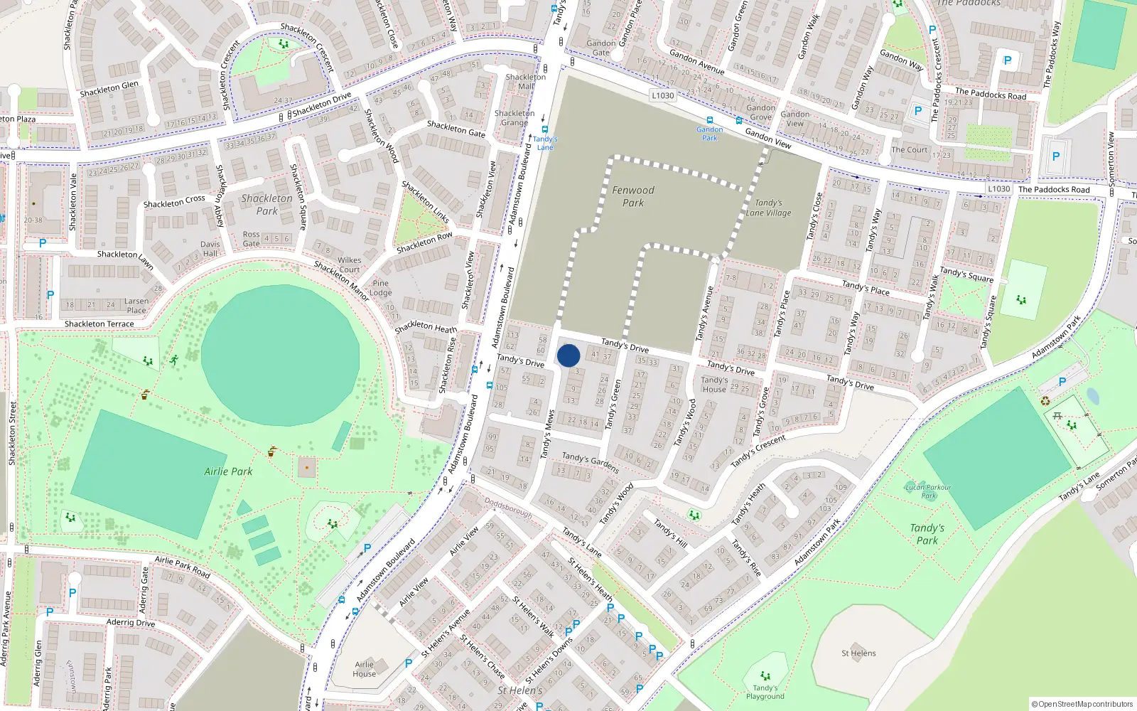 Overhead map showing the location of 49 Tandy's Drive, Lucan