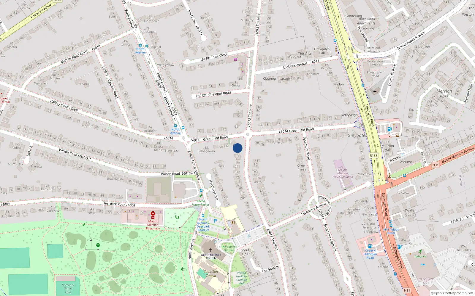 Overhead map showing the location of 49 the Rise, Mount Merrion, Blackrock