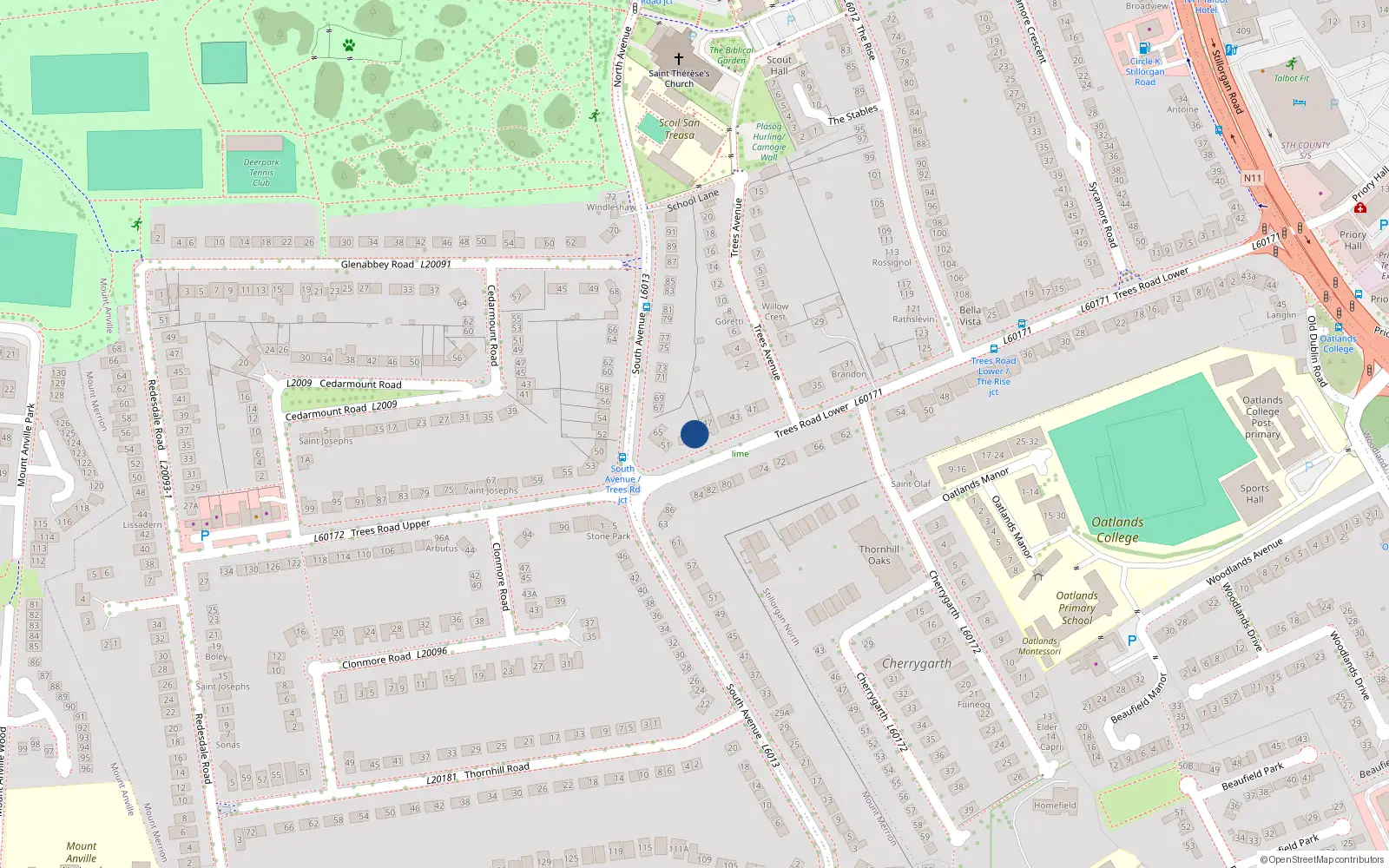 Overhead map showing the location of 49 Trees Road Lower, Mount Merrion