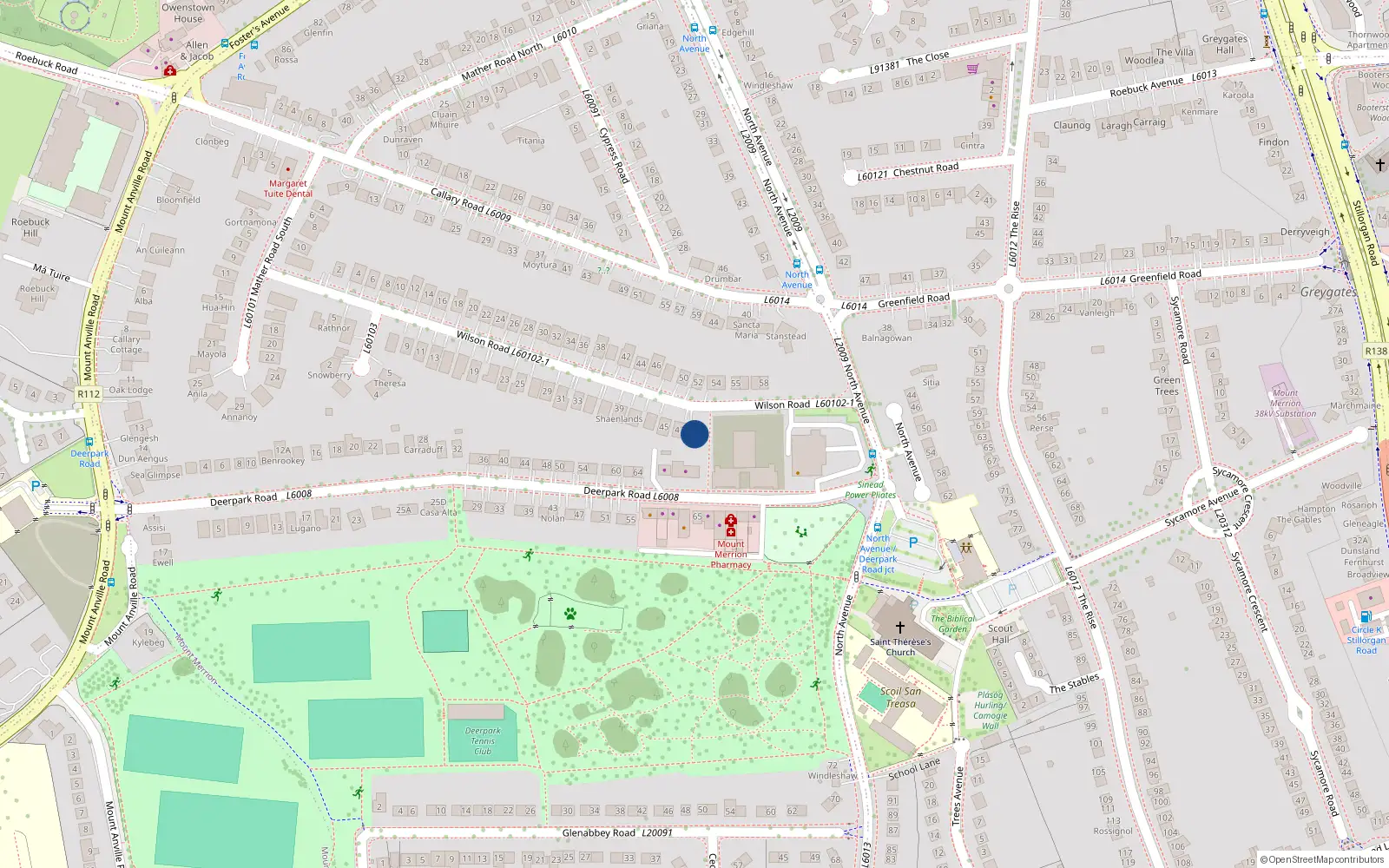 Overhead map showing the location of 49 Wilson Road, Blackrock