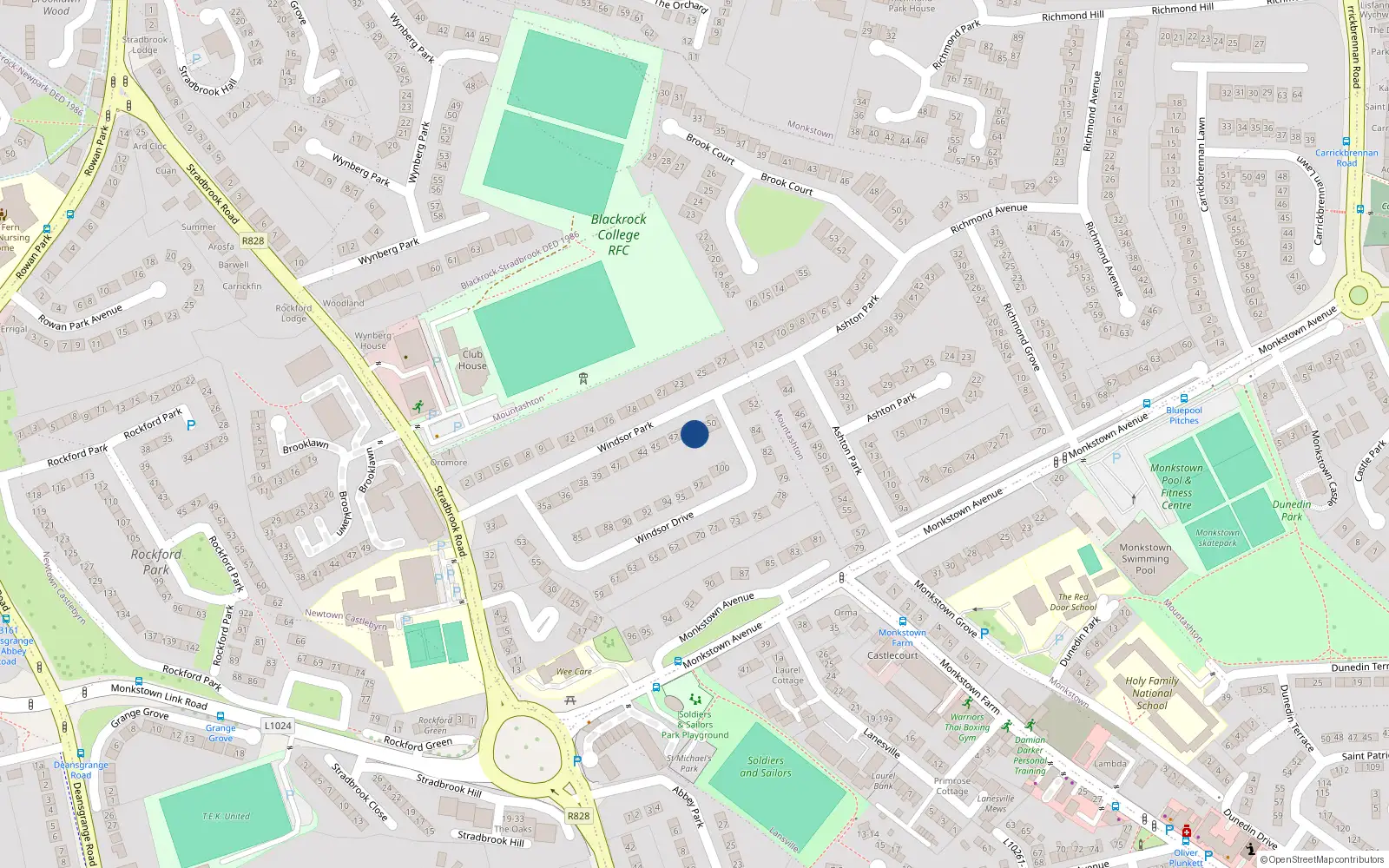 Overhead map showing the location of 49 Windsor Park, Monkstown